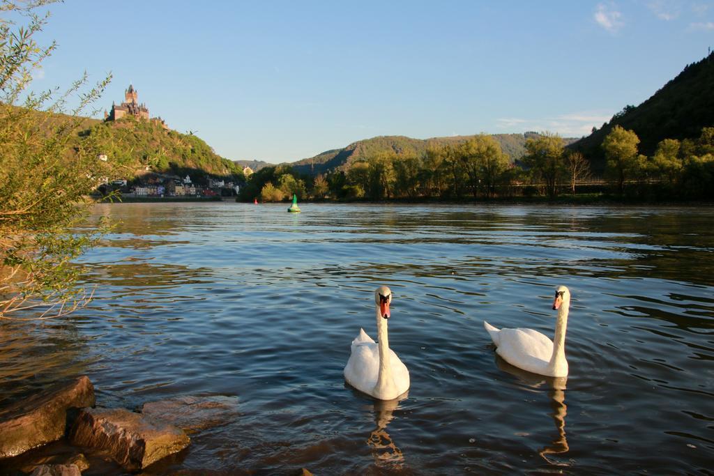 Hotel Klasen Cochem Eksteriør bilde